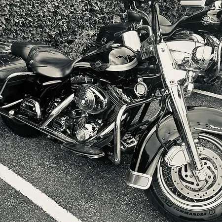 Ever Route 64 Brit Ibos 塔布