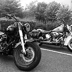 Ever Route 64 Brit Ibos Ξενοδοχείο Ταρμπ